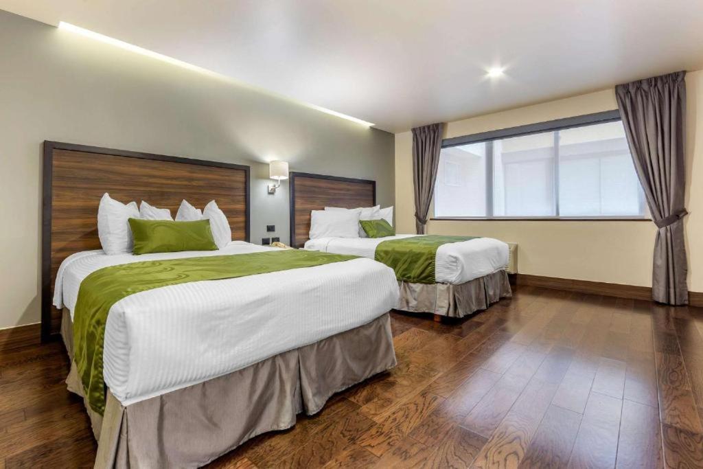 Quality Inn Chihuahua San Francisco Zimmer foto